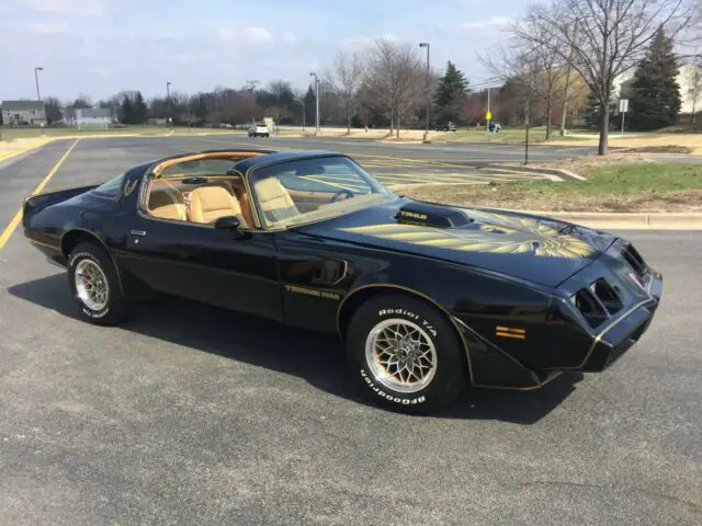 1980 Pontiac Trans Am Y84 SE