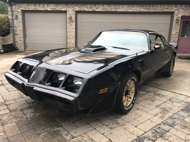 1980 Pontiac Trans Am SE  Y84