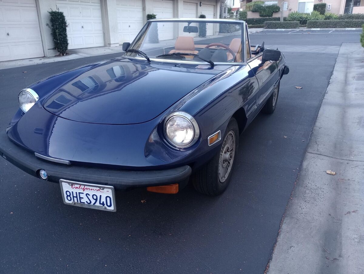 1981 Alfa Romeo Spider