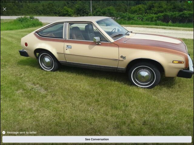 1981 American Motors Spirit DL