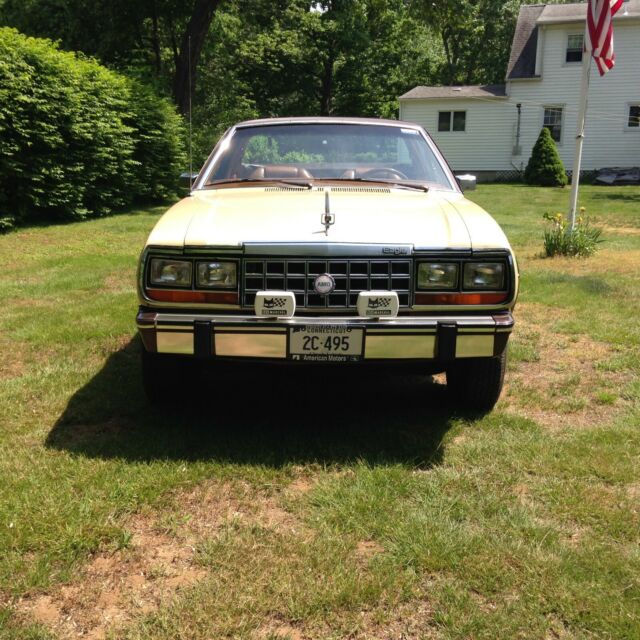 1981 AMC Other limited