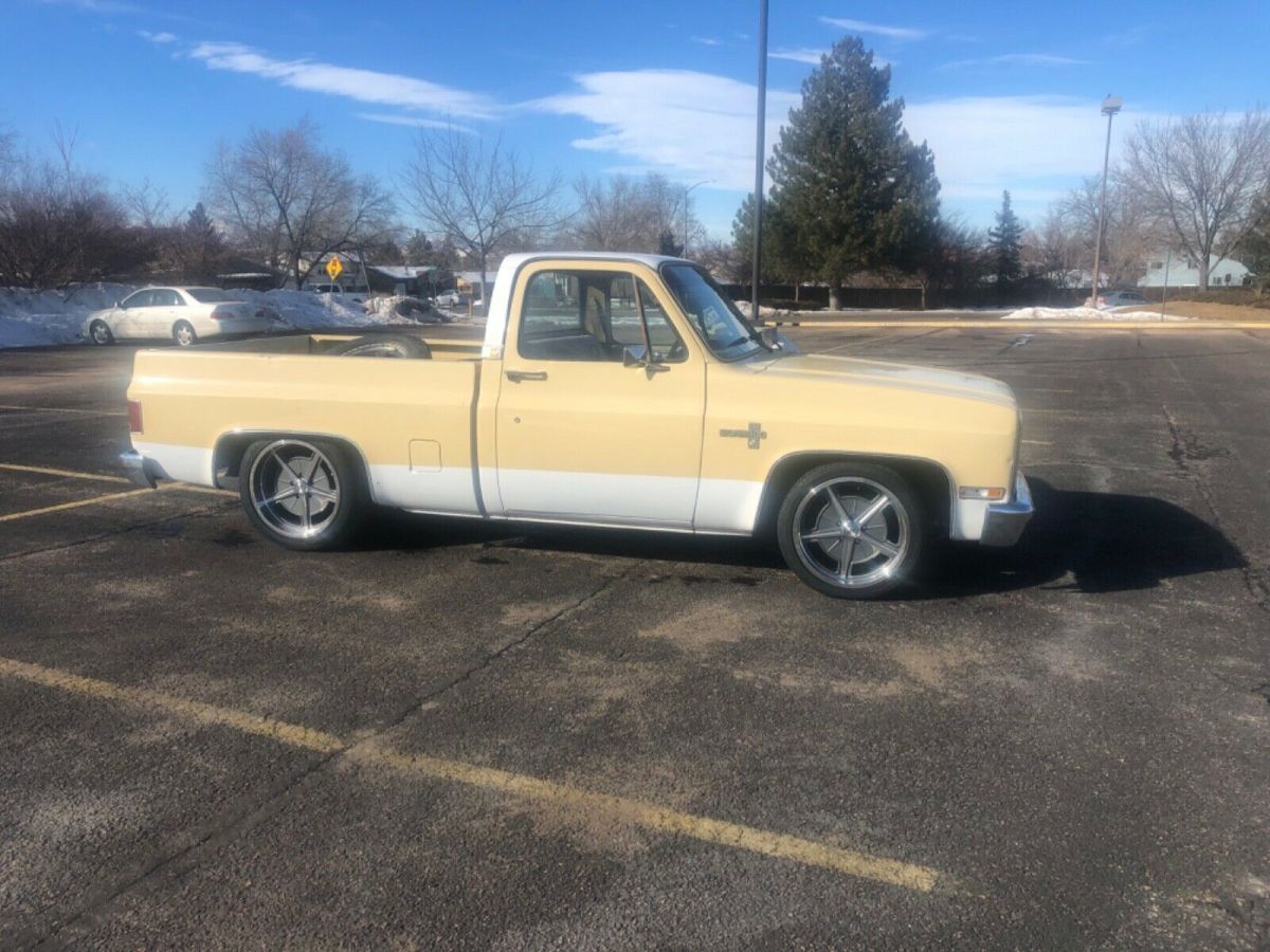 1981 Chevrolet C-10 Silveradi