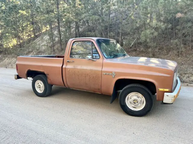 1981 Chevrolet C-10 SHORT BED 2wd SWB