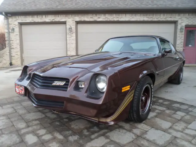 1981 Chevrolet Camaro