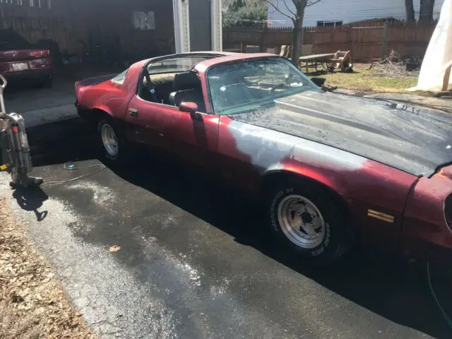 1981 Chevrolet Camaro Z28