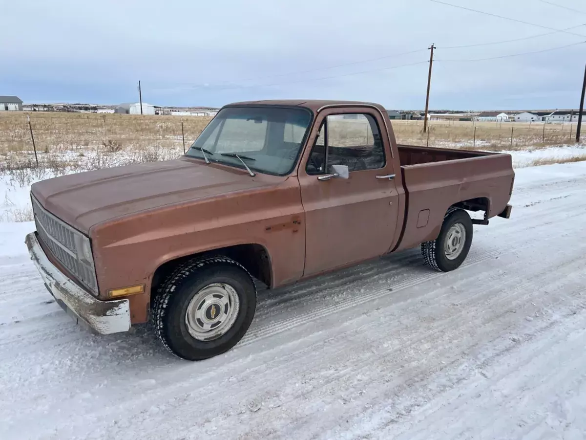 1981 Chevrolet C-10