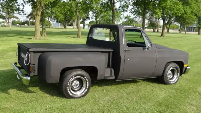 1981 Chevrolet C-10