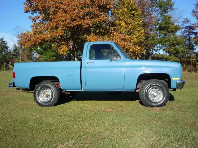 1981 Chevrolet C-10 --