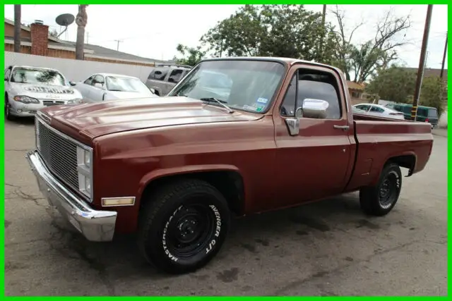 1981 Chevrolet C10 C10