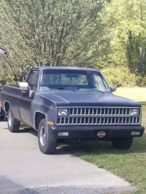 1981 Chevrolet Other Pickups Custom Deluxe