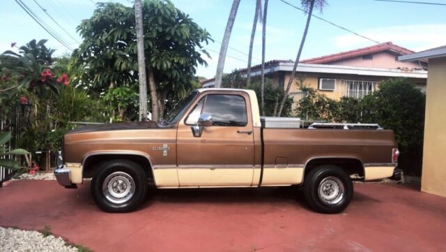 1981 Chevrolet C10