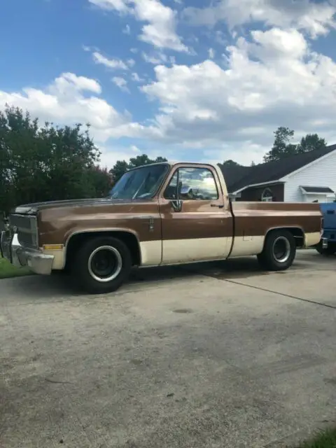 1981 Chevrolet C-10