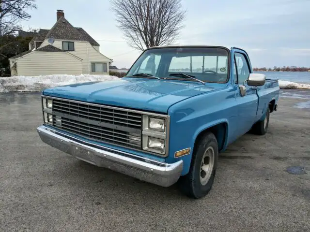 1981 Chevrolet C-10 C-10 V8 NO RESERVE