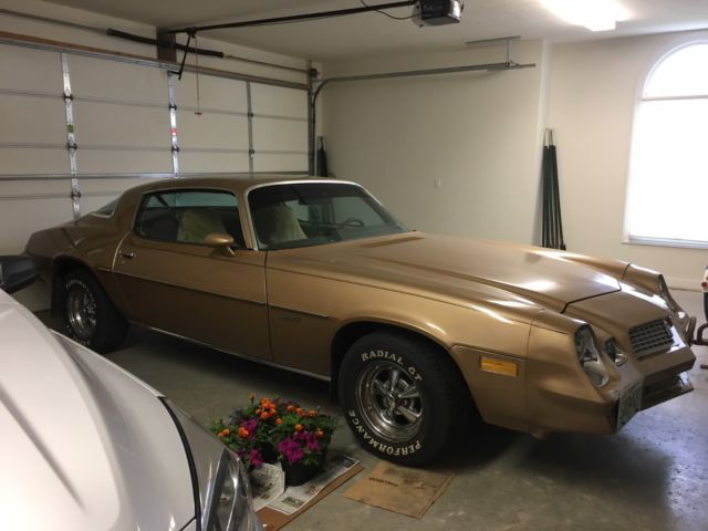 1981 Chevrolet Camaro Sport Coupe