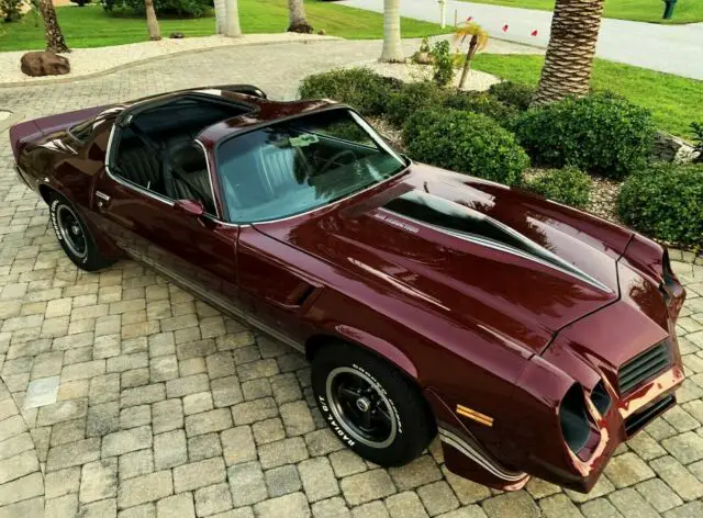 1981 Chevrolet Camaro