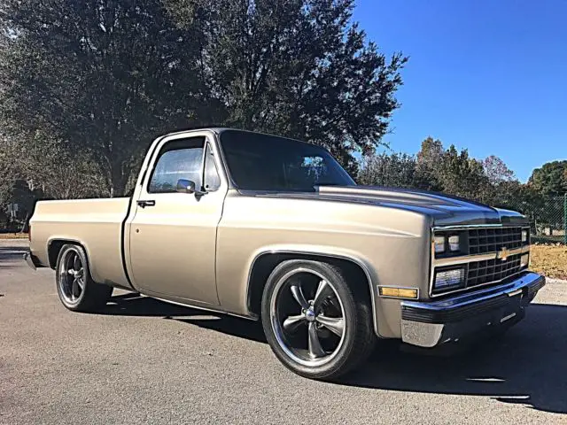 1981 Chevrolet C-10 Silverado