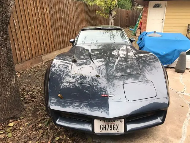 1981 Chevrolet Corvette