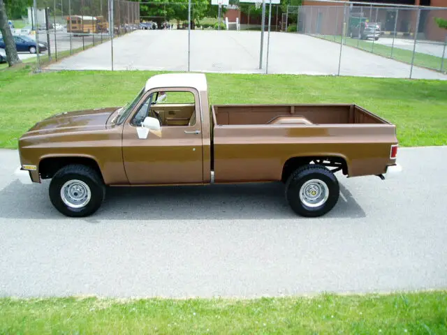 1981 Chevrolet C/K Pickup 1500