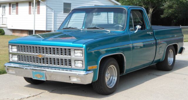 1981 Chevrolet Other Pickups