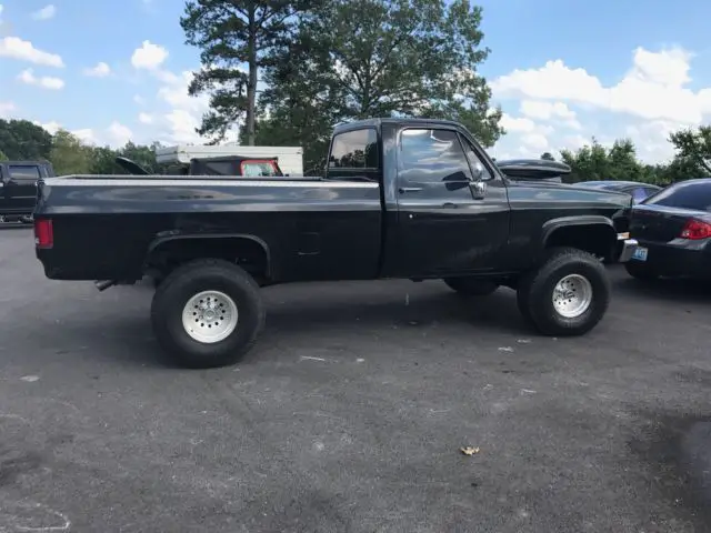 1981 Chevrolet Other Pickups