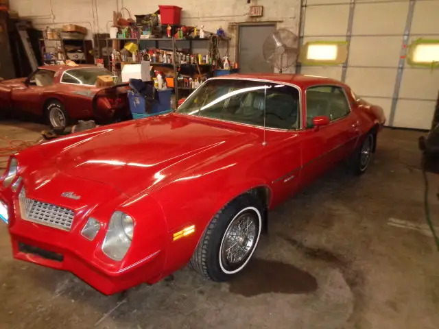 1981 Chevrolet Camaro BERLINETTA