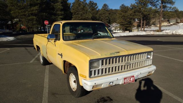 1981 Chevrolet C/K Pickup 1500