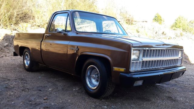 1981 Chevrolet C-10