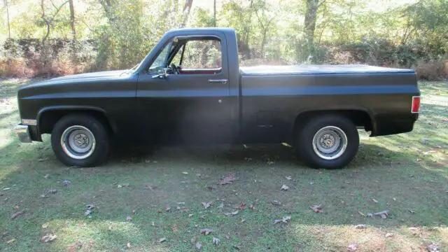 1981 Chevrolet C/K Pickup 1500