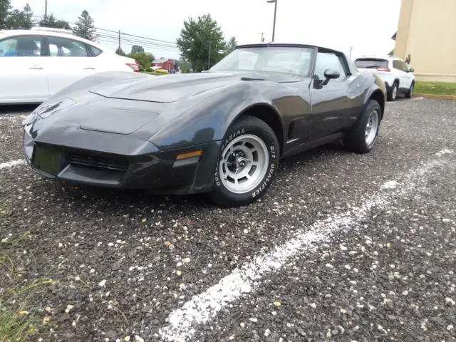 1981 Chevrolet Corvette L48