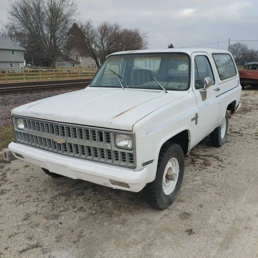 1981 Chevrolet Blazer BLAZER, BARN FIND, PROJECT