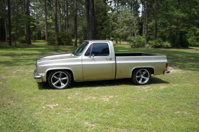 1981 Chevrolet C-10