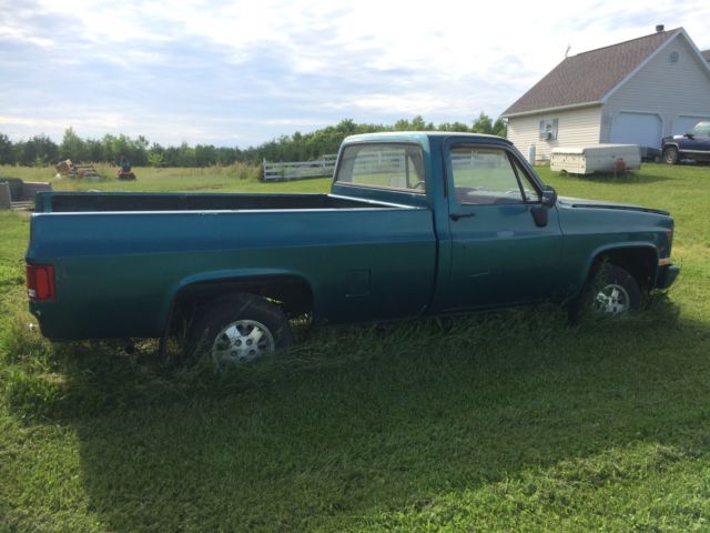 1981 Chevrolet Other Pickups Custome Deluxe