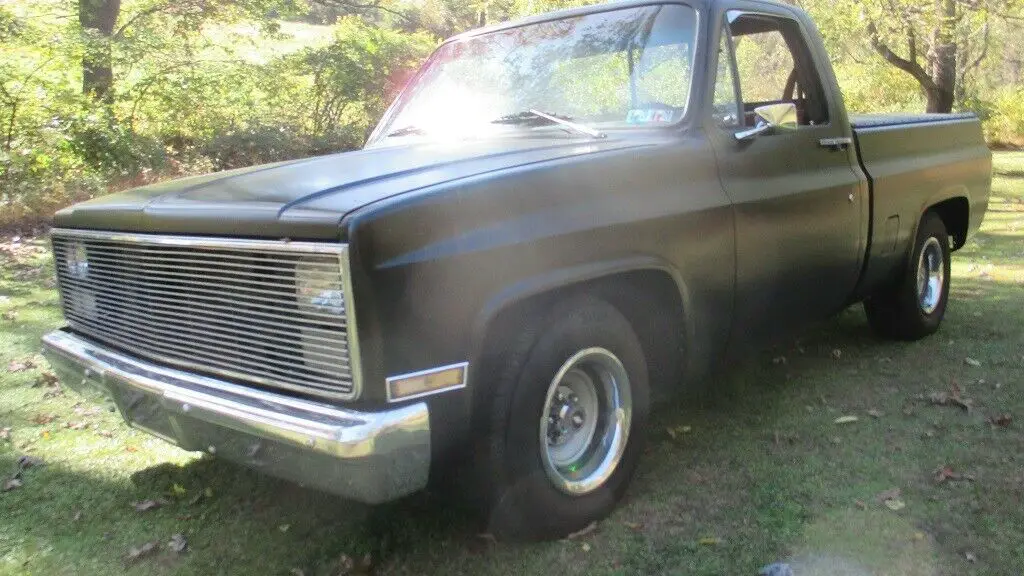 1981 Chevrolet C/K Pickup 1500