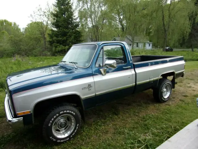 1981 Chevrolet Other Pickups