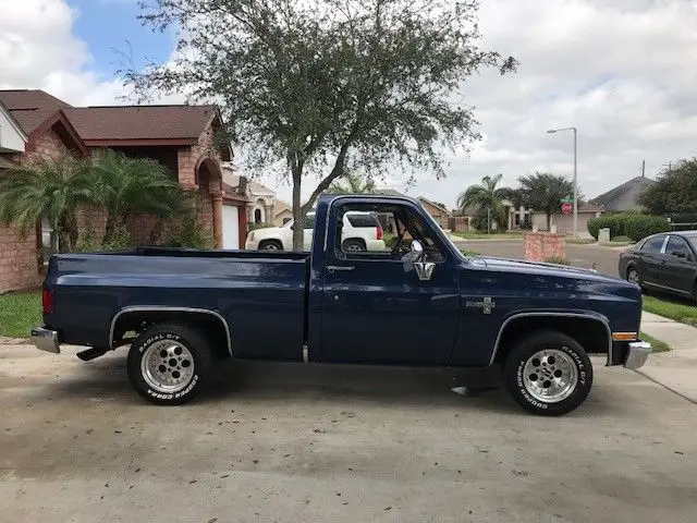 1981 Chevrolet C-10