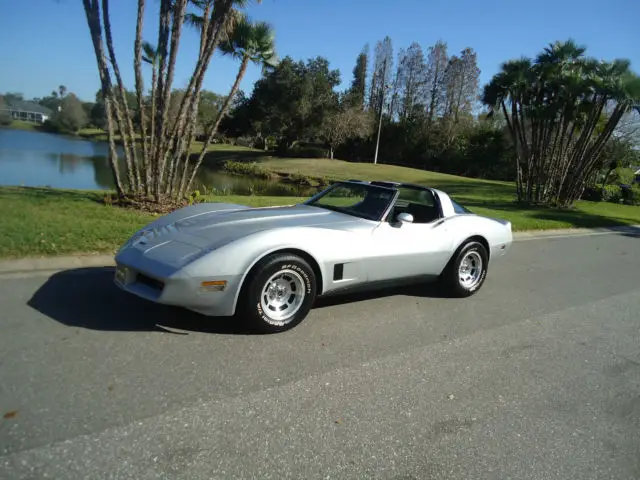 1981 Chevrolet Corvette corvette