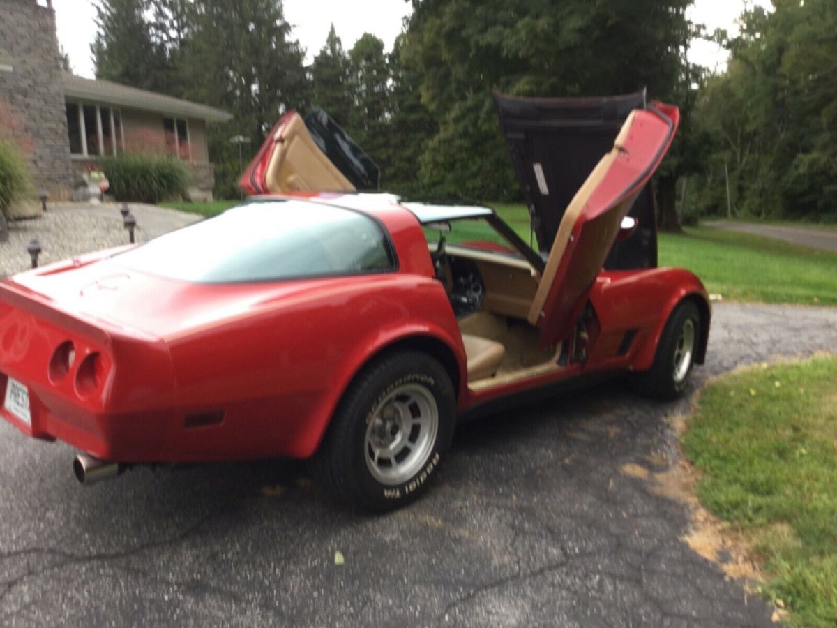 1981 Chevrolet Corvette