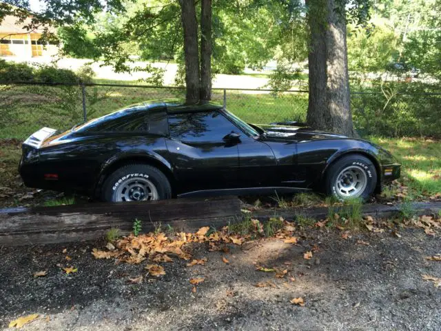 1981 Chevrolet Corvette