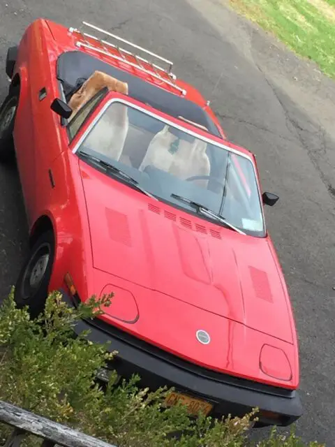 1981 Triumph TR7