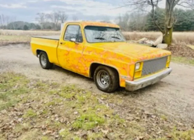 1981 GMC C1500