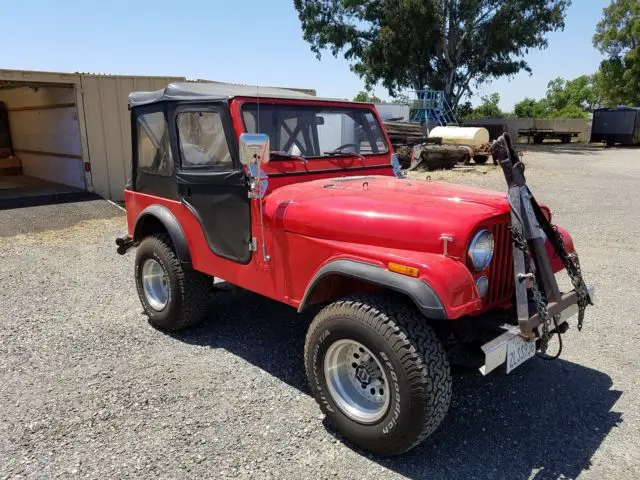 1981 Jeep Wrangler Custom