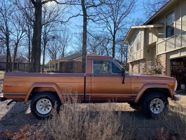 1981 Jeep Jeep Truck J10