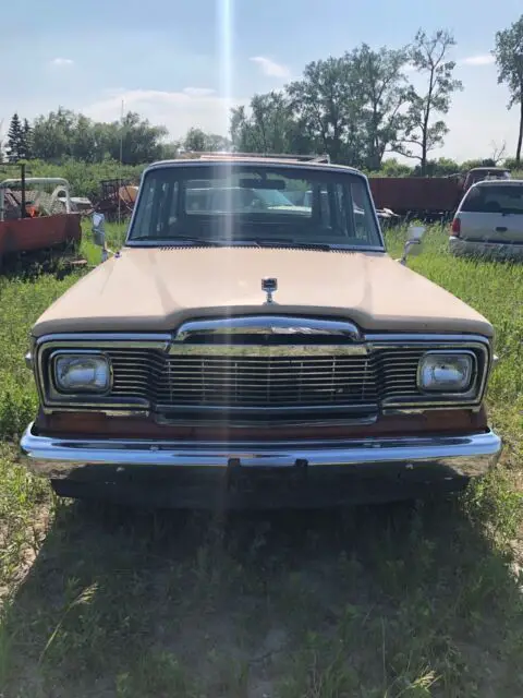 1981 Jeep Wagoneer