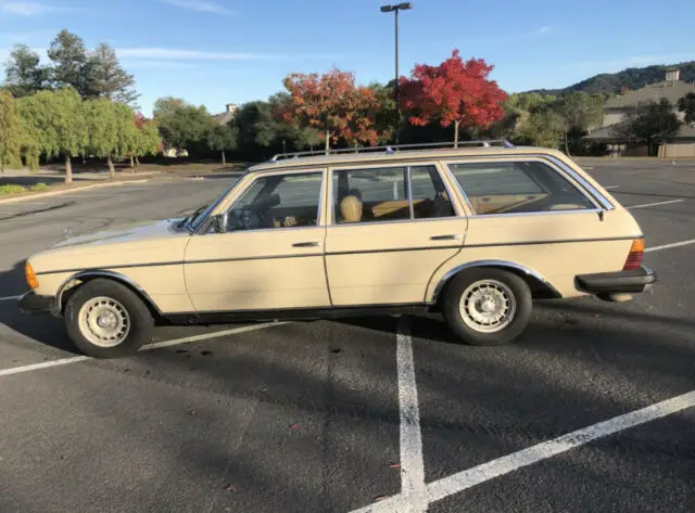 1981 Mercedes-Benz 300-Series