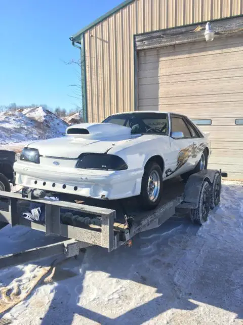 1981 Ford Mustang