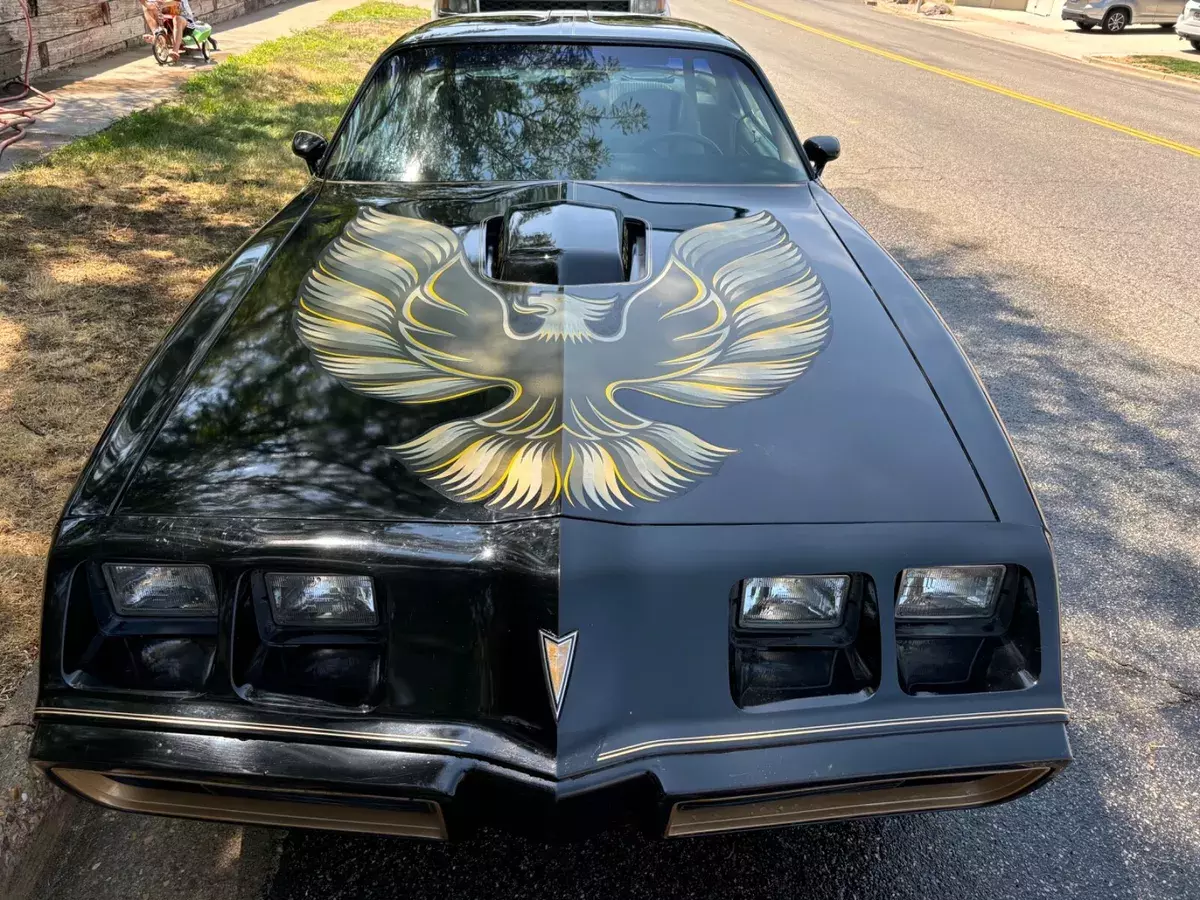 1981 Pontiac Firebird TRANS AM