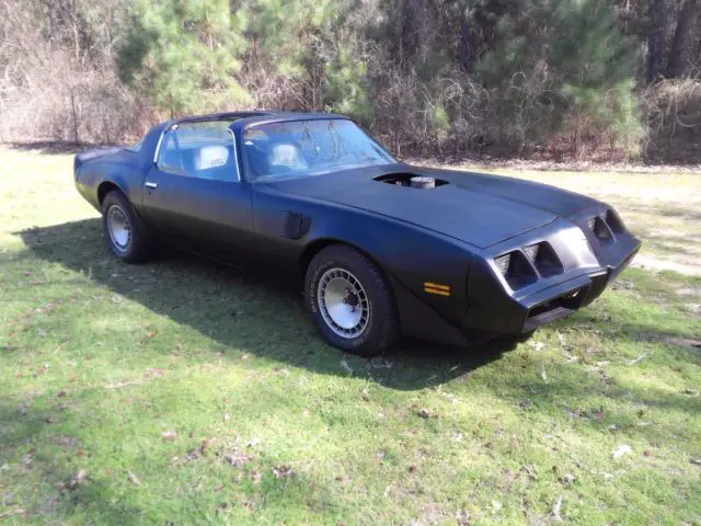 1981 Pontiac Firebird T/A