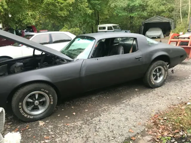 1981 Pontiac Firebird