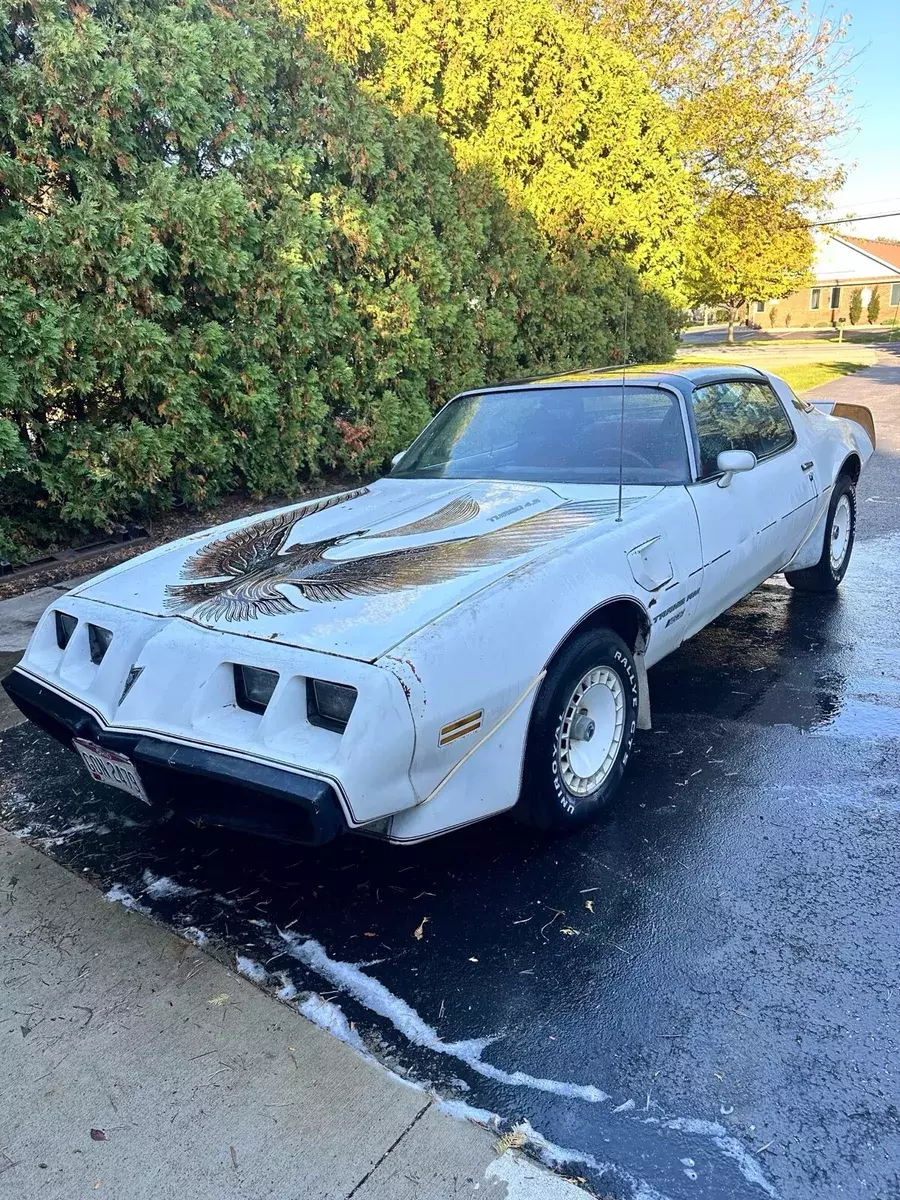 1981 Pontiac Firebird Trans am Daytona Pace Car