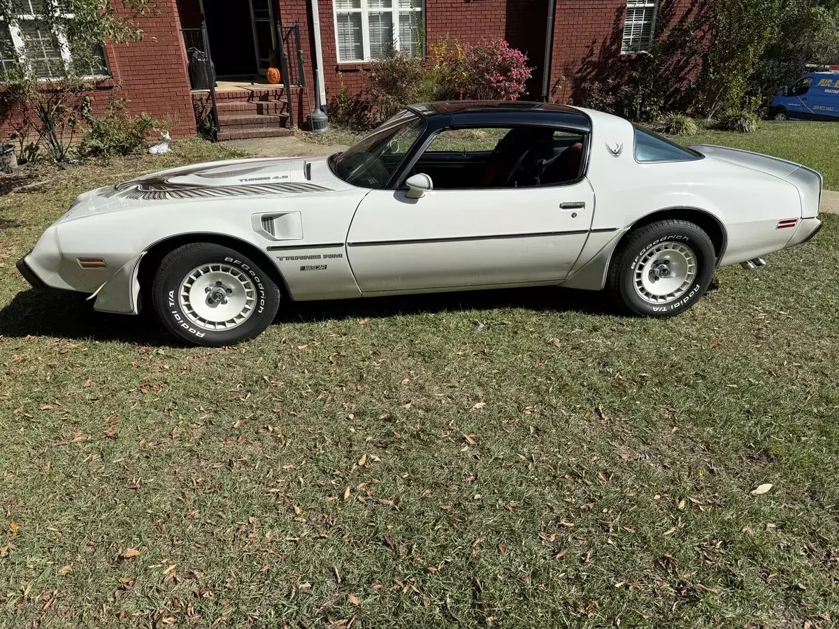 1981 Pontiac Firebird TRANS AM/NASCAR EDITION